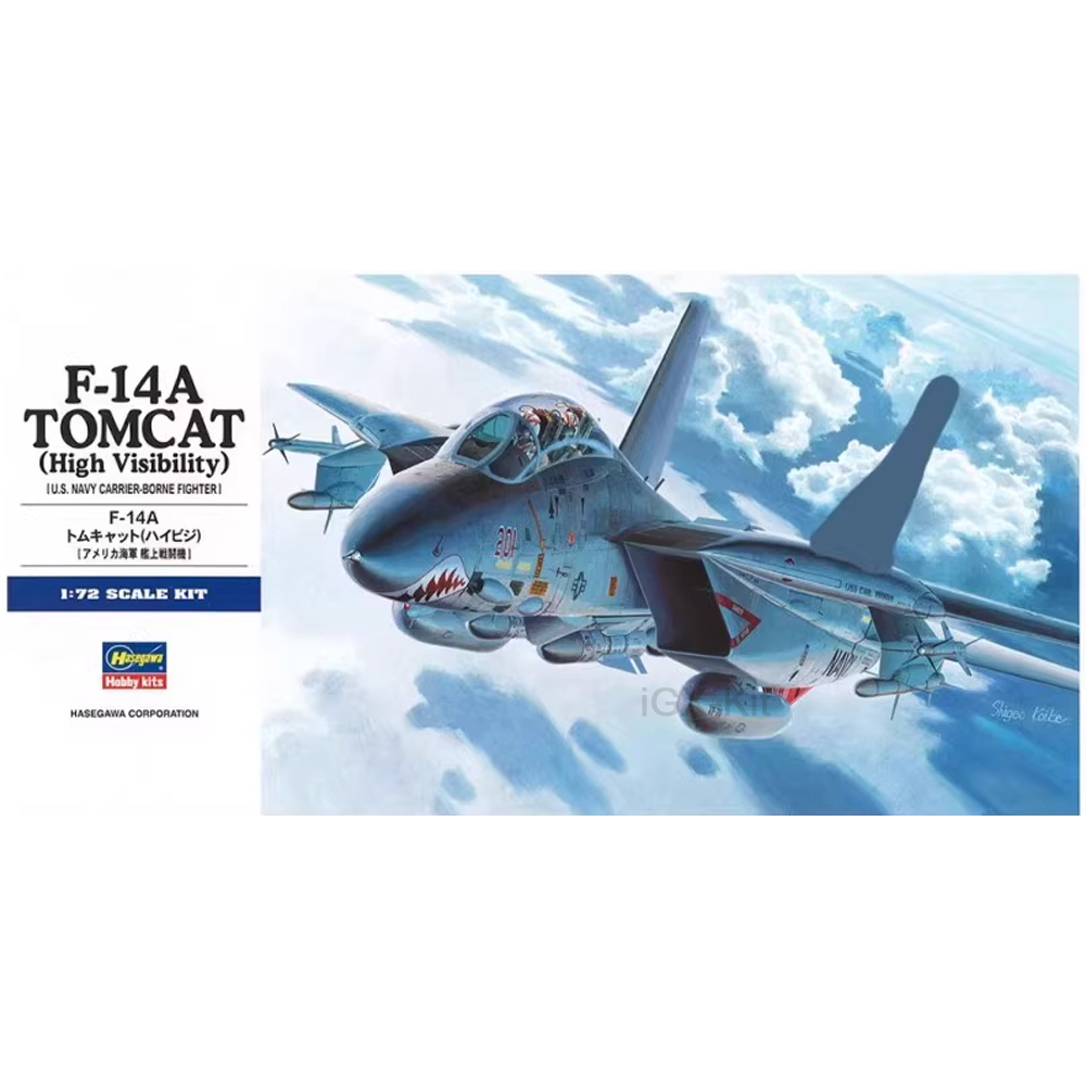 하세가와 00533 1:72 스케일 미국 F14 F-1 - Model Kit Hasegawa 리뷰 및 가격