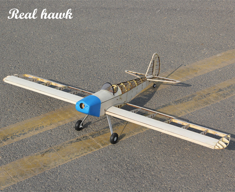 RC 비행기 레이저 컷 발사 우드 비행기 키트, 2.5 - Frame Model Kit 리뷰 및 가격